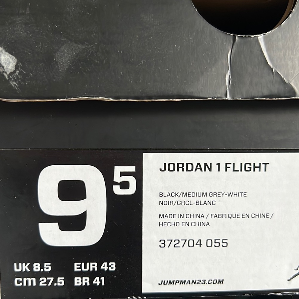 Jordan 1 flight